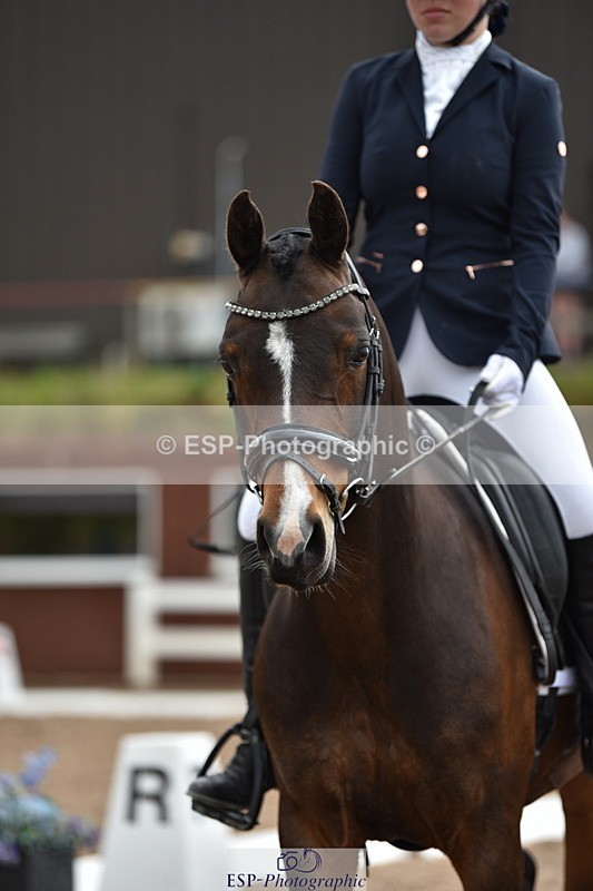 240623A-104830-16873 - Cls 47 BD Novice 22