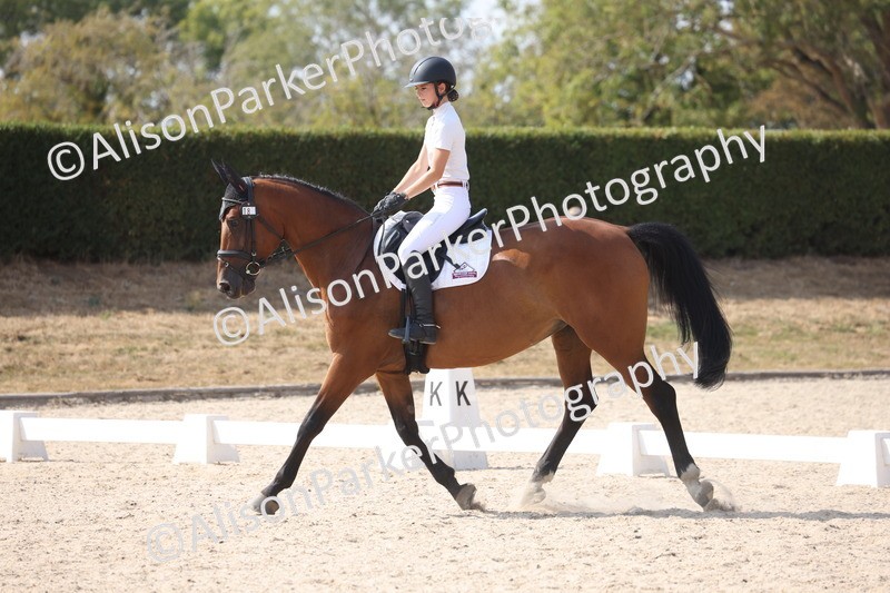 20260815-1066 - Class 6 - Novice 2
