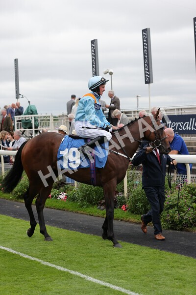 yr18082021r7-4 - Race 7 5.20pm Sky Bet Nursery Handicap