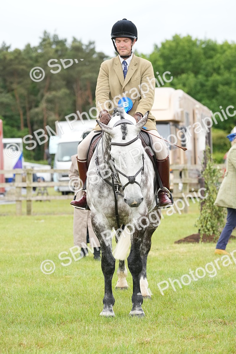 SBM_12848 - Class 97-98 - LIHS BSHA Rising Star Working Show Horse Hunter