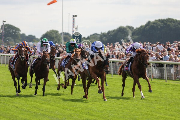 yr18082021r3-57 - Race 3 3.00pm Sky Bet Great Voltigeur Stakes