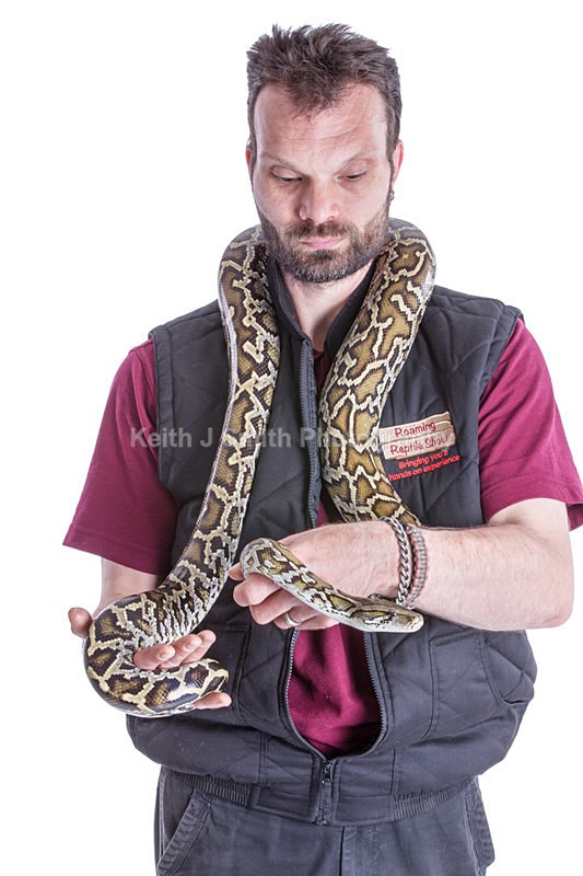 1KJS0257 - Roaming Reptile Show