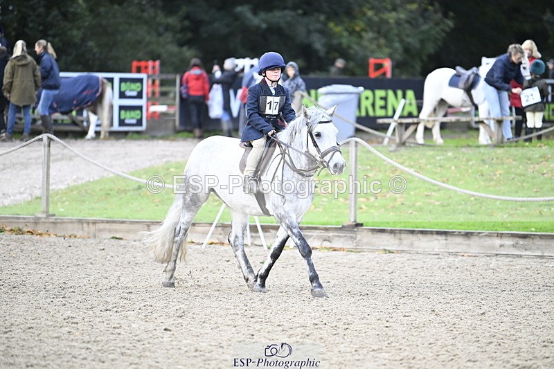 251005A-081848-02739 - Cls 01 GR 40cm