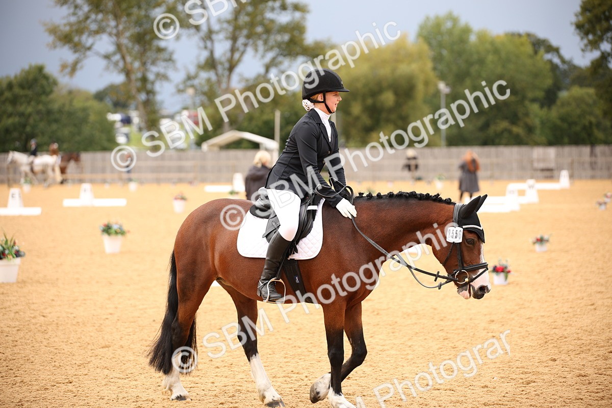 SBM_12240 - D3 Small  Tour Championship Intro A