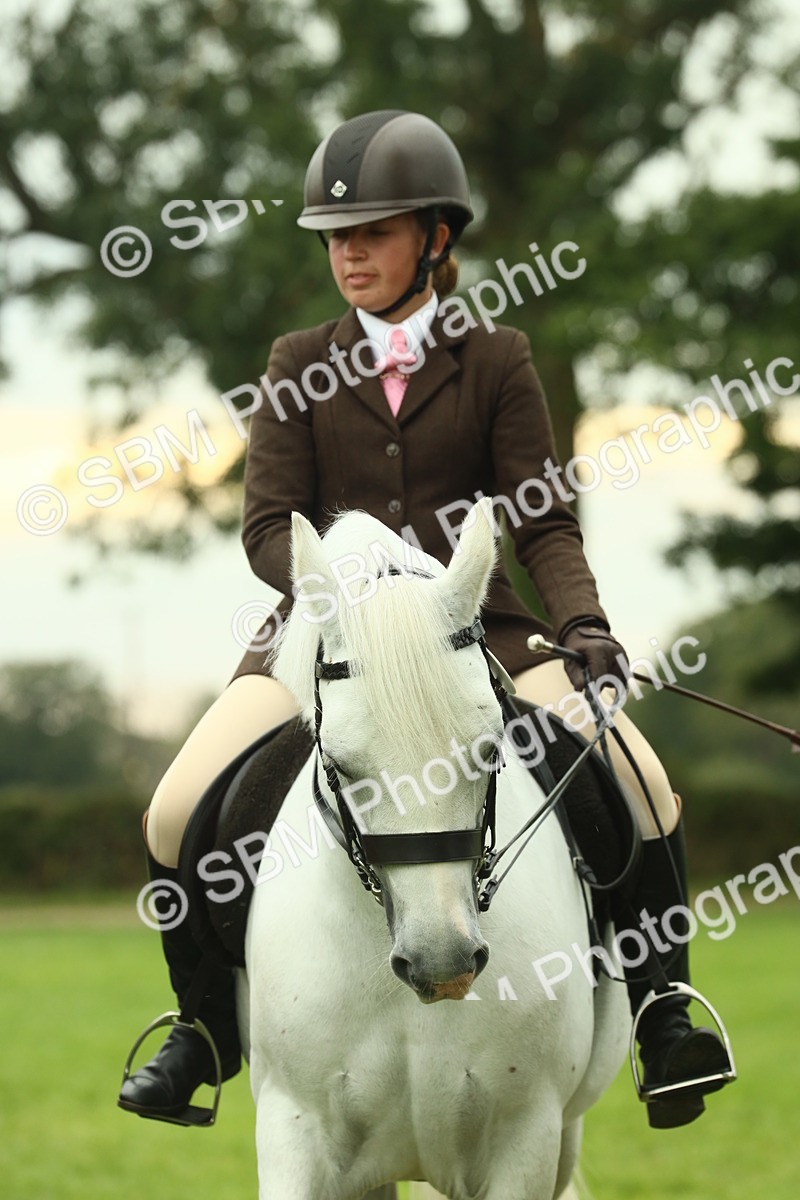 SBM_72269 - S60 - Mountain & Moorland Ridden Large Breeds