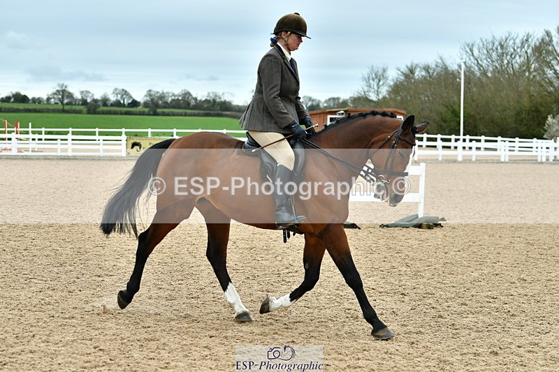 230416A-143041-05247 - Cls 74 Warmblood