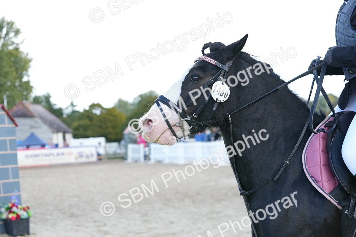 SBM_17898 - J58 - Clear Round 50cm