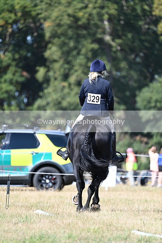 WJ7_9882 - Time 11:03 to 11:28