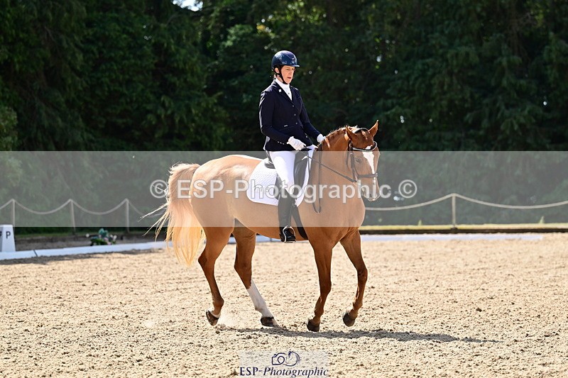 260731A-110049-00190 - Elementary Bronze 10.30 - Break