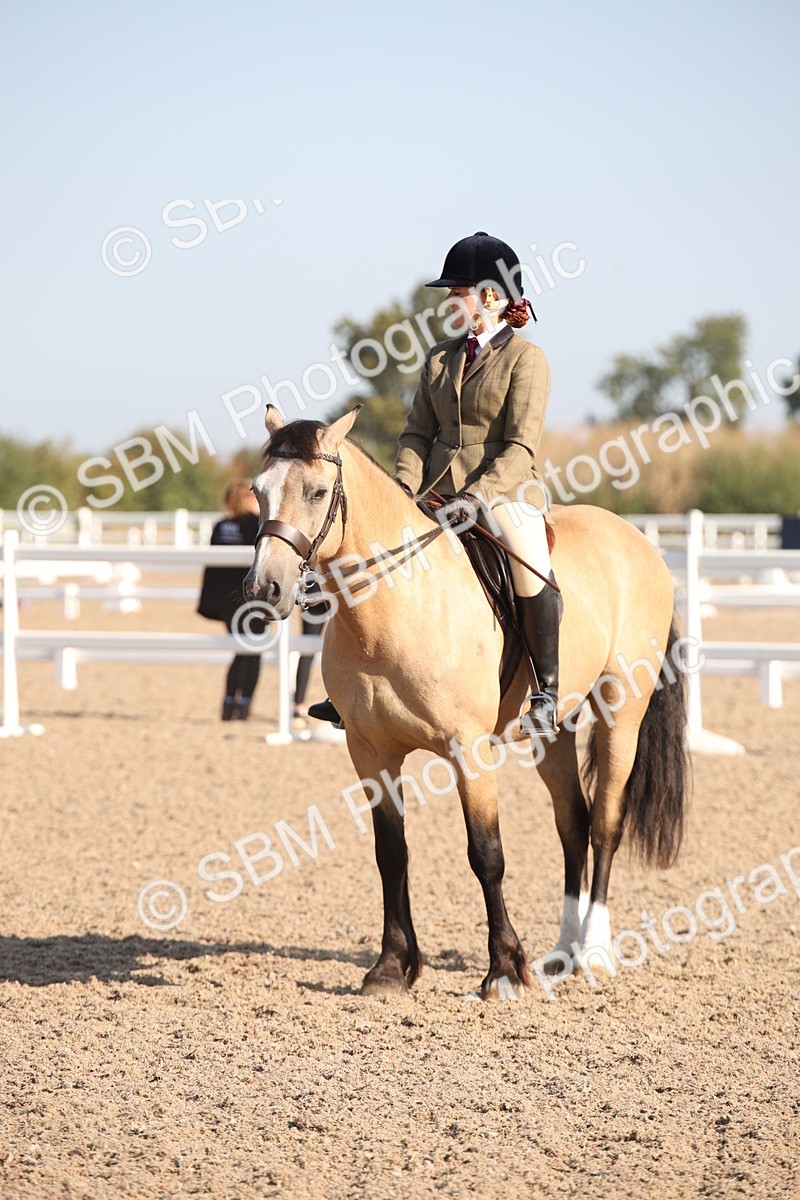 SBM_00714 - Class 14 Ridden M&M Wildcard