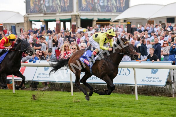 yr11062022r4-20 - Race 4 3.05pm Sky Bet Grand Cup
