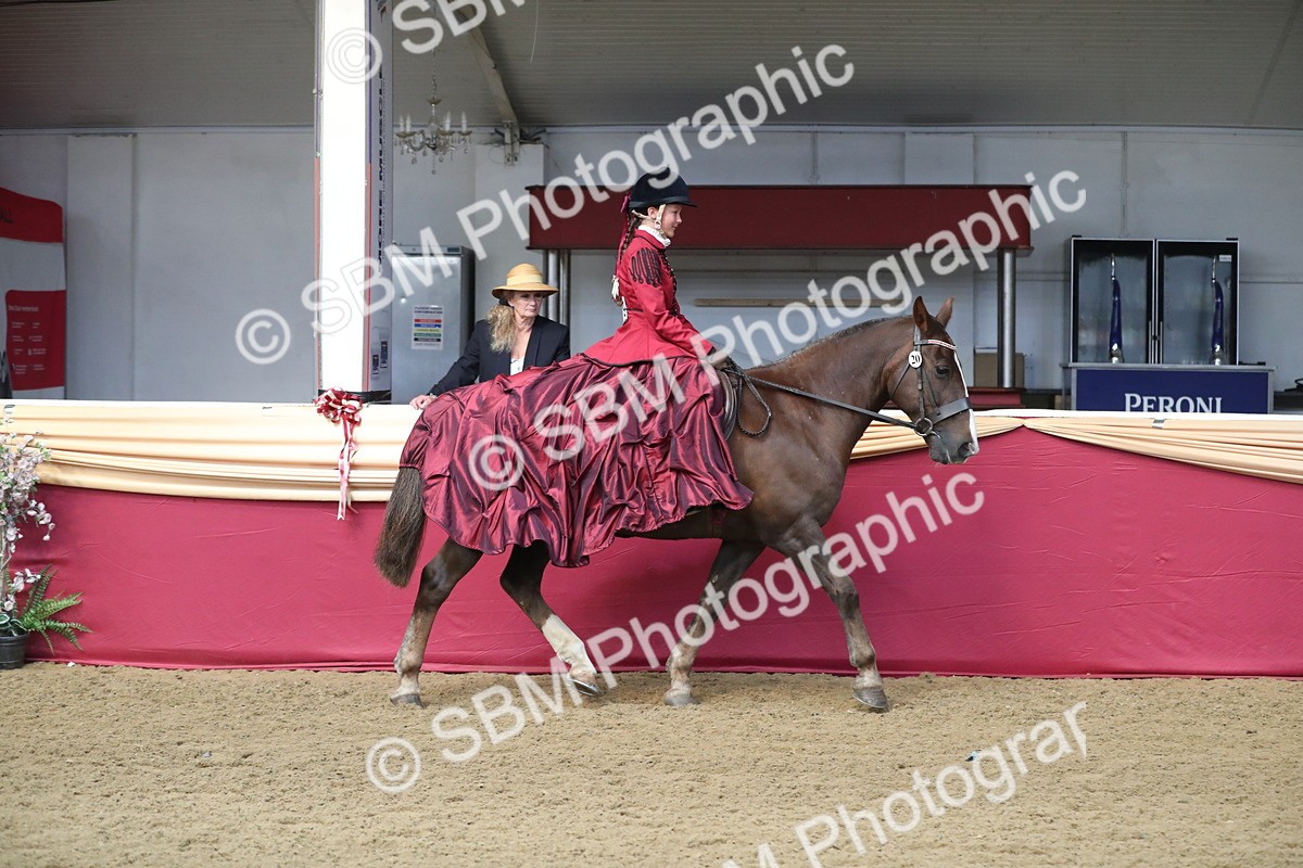 SBM_11233 - Class 104 Ridden Costume - Astride Junior