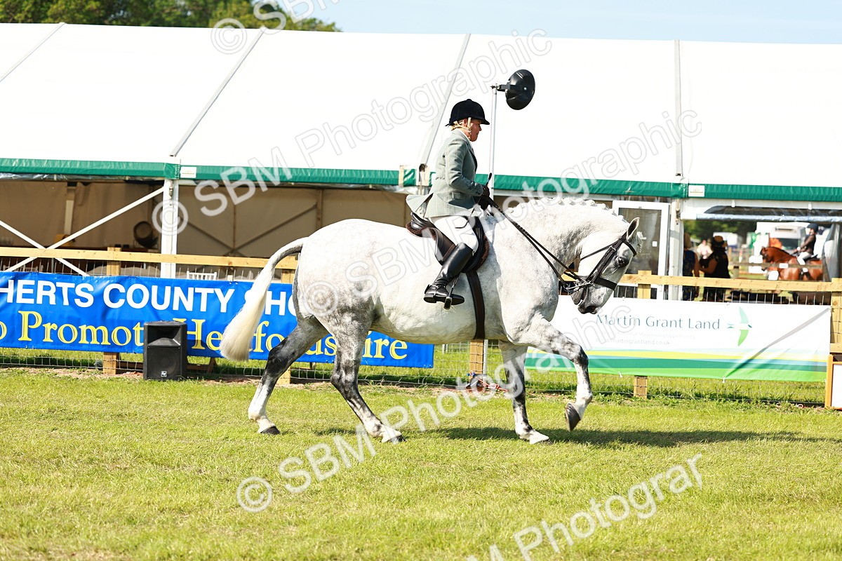 SBM_11932 - Class 66-69 - RIHS Ridden Hunters Inc Small Hunter