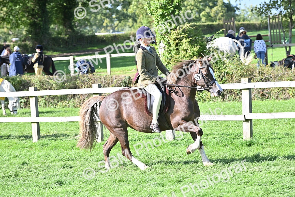 SBM_50294 - S21 - Novice & Newcomers First Ridden