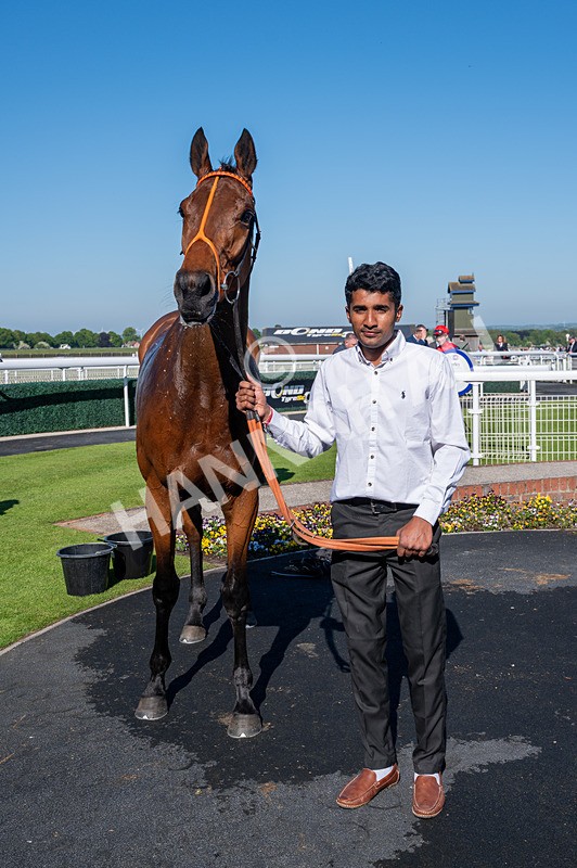 130525-Race 6-Analogical-4532 - Race 6