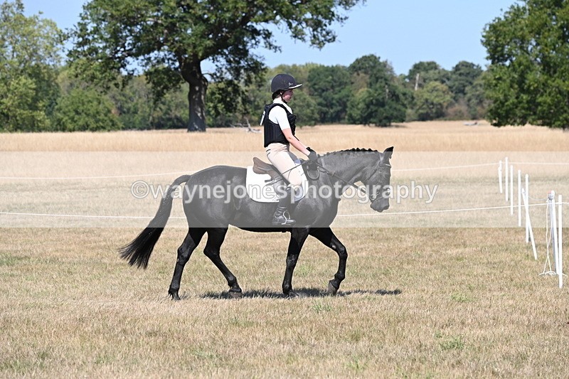 WJ6_8786 - Class 38 Ridden Riding Horse/Pony