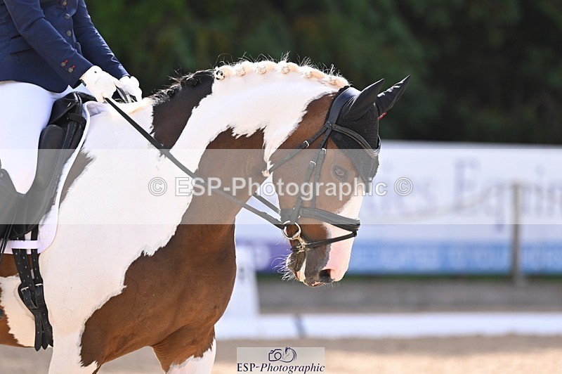 240809-103752-00348 - 160-Sian.Lowe-Pinecroft.Indigo