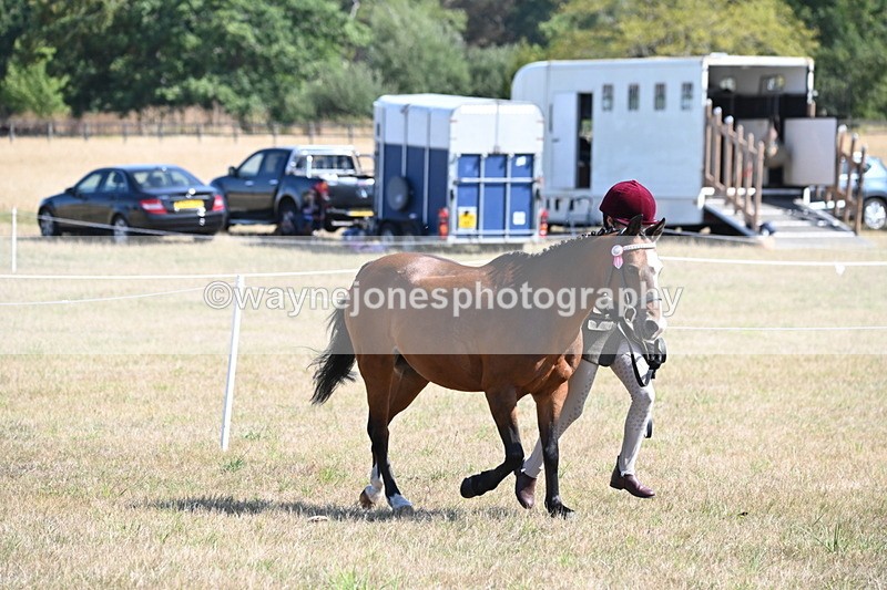 WJ6_4725 - Class 17 Mountain & Moorland