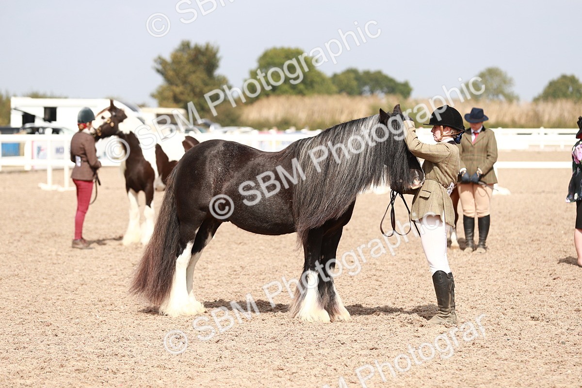 SBM_13922 - Class 209 IH Veteran Pony