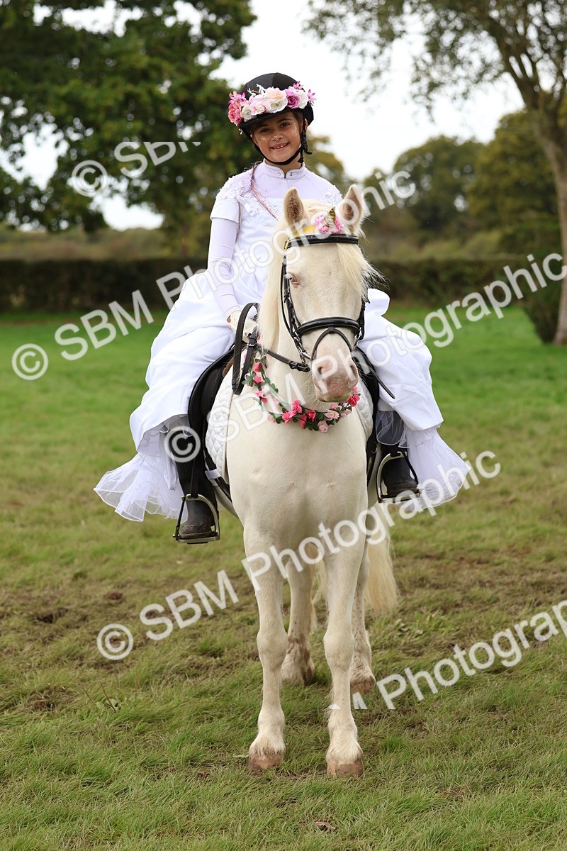 SBM_62166 - S37b - Best Unicorn