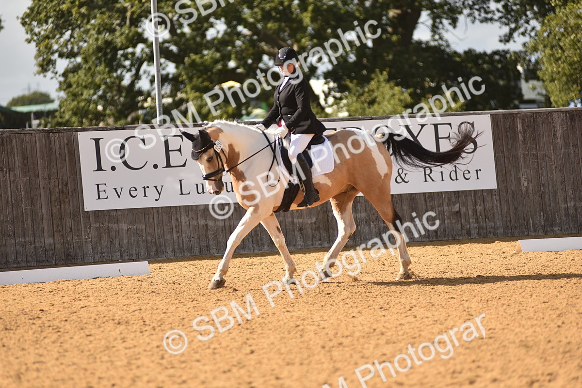 SBM_24344 - D4 - Small Tour Championship Intro 4
