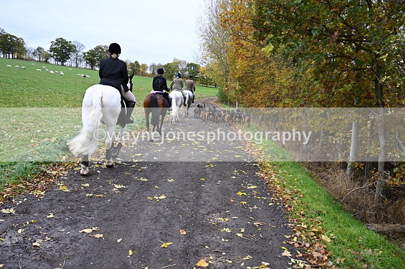 WJ6_9254 - Ride