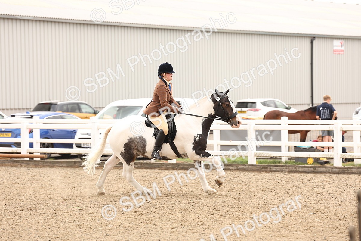 SBM_06229 - Class 57b -  Style & Performance - 60cm (20+)