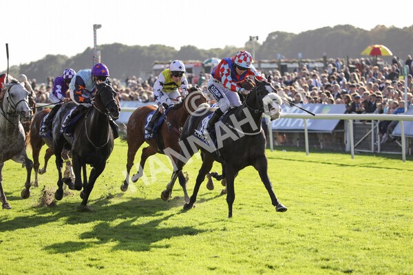 yr08102022r4-28 - Race 4 3.15pm The Coral Sprint Trophy