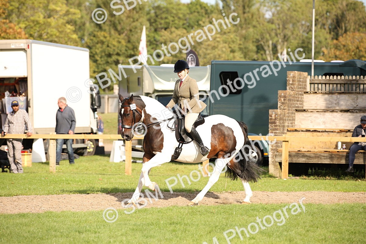 SBM_50187 - S26 - Young Veteran - Ridden