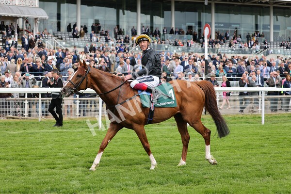 yr13052022r4-90 - Race 4 3.35pm The Paddy Power Yorkshire Cup (British Champions Series Race)