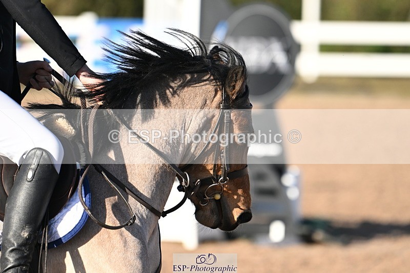 241026A-102555-00154 - SAT Cls 3 Pony Intro 70cm