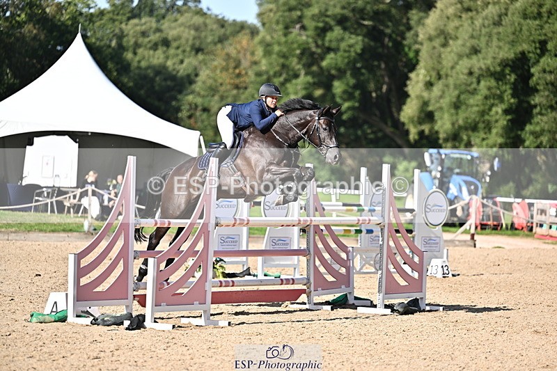 260906A-161110-04594 - Cls 24 Snr Foxhunter