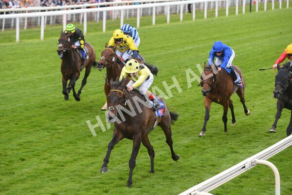 yr11062022r4-13 - Race 4 3.05pm Sky Bet Grand Cup