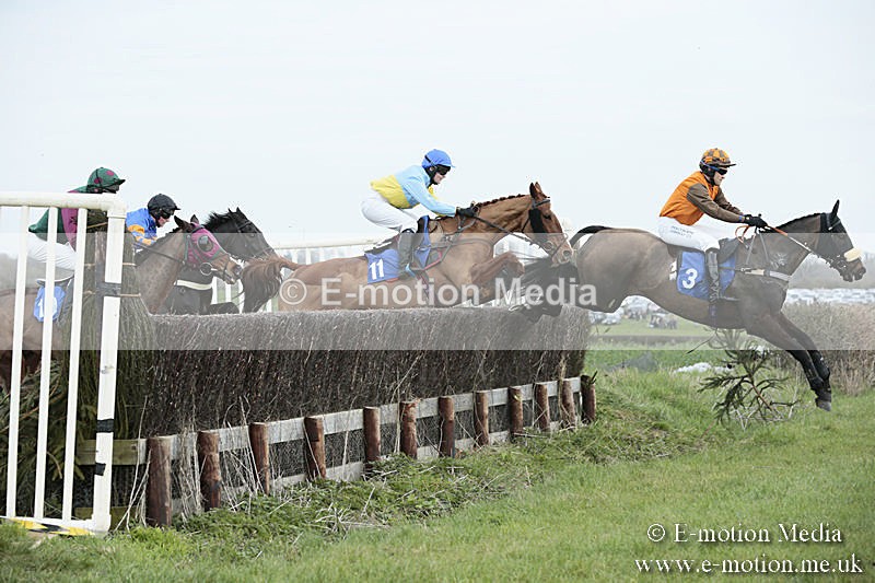 PtP 230319 117 - VWH Hunt Siddington Point-to-Point Racing 23/03/19
