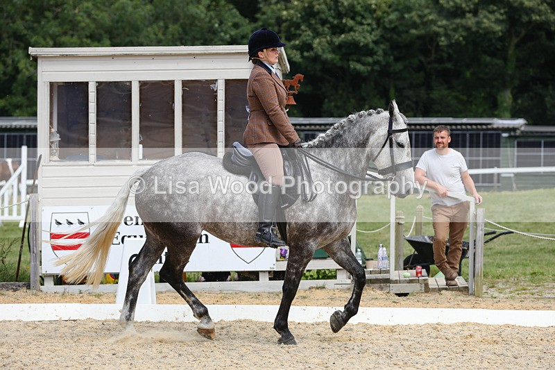 1X9A8401 - Ridden Championship