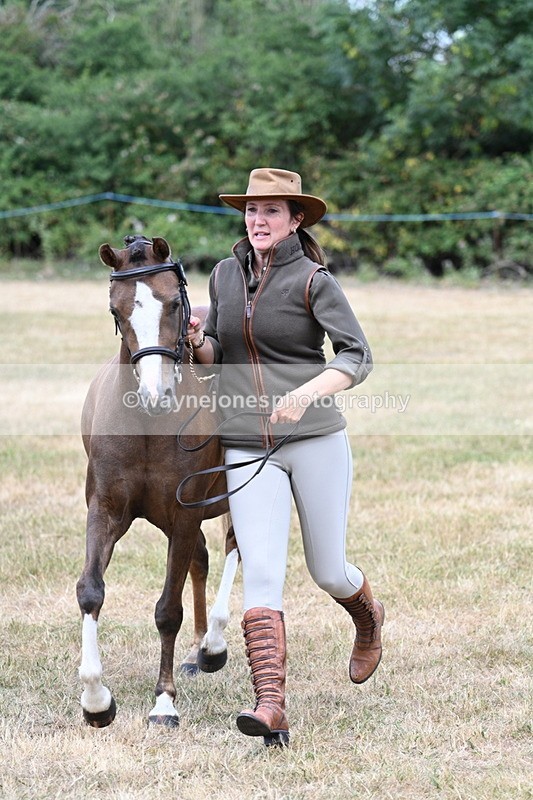 WJ7_1532 - Class 4 Prettiest Mare up to 14.2hh in hand