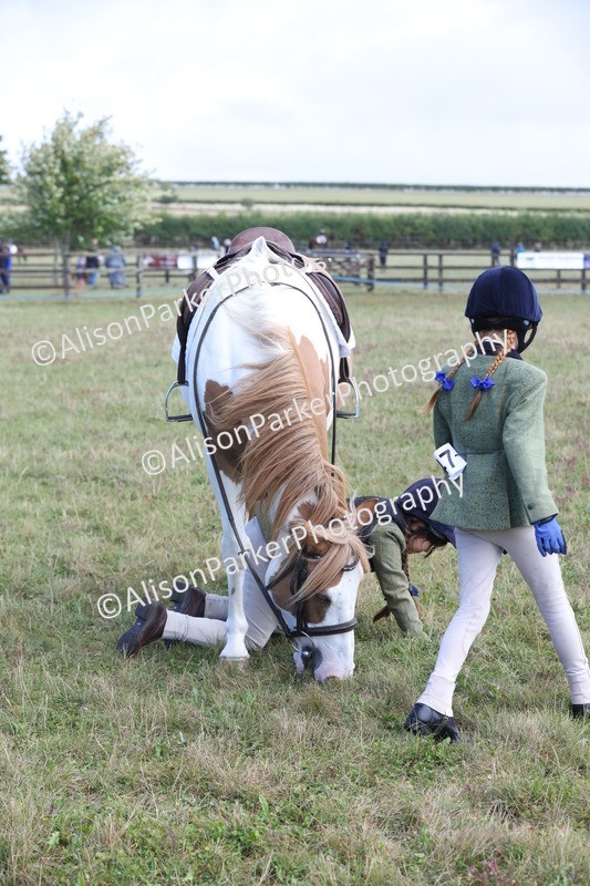 20250831-2455 - Class 16 - Family Pony