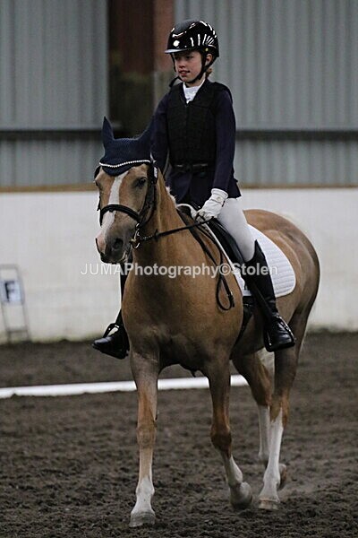 SIAL3630 - CAbin Dressage 5th july 2025