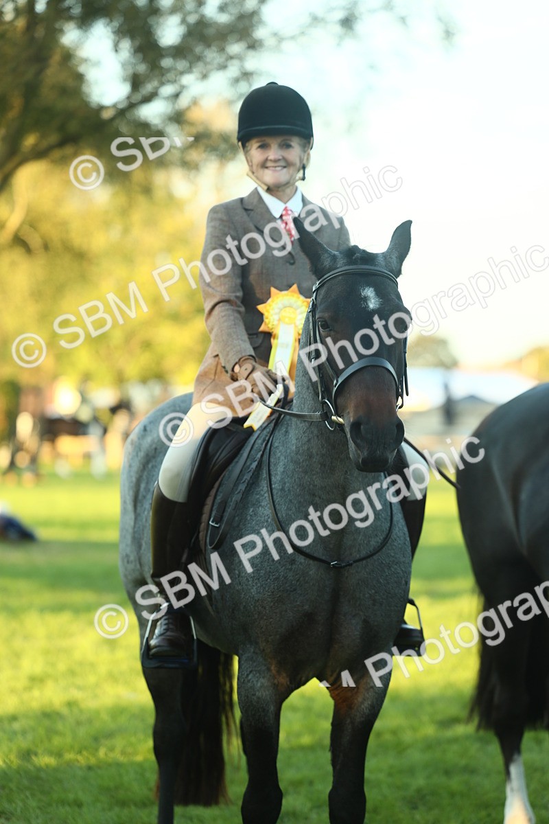 SBM_56550 - S14 - Riding Club Horse