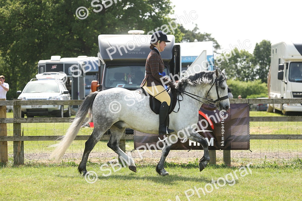 SBM_07651 - Class 26-30 - Mountain and Moorland Ridden