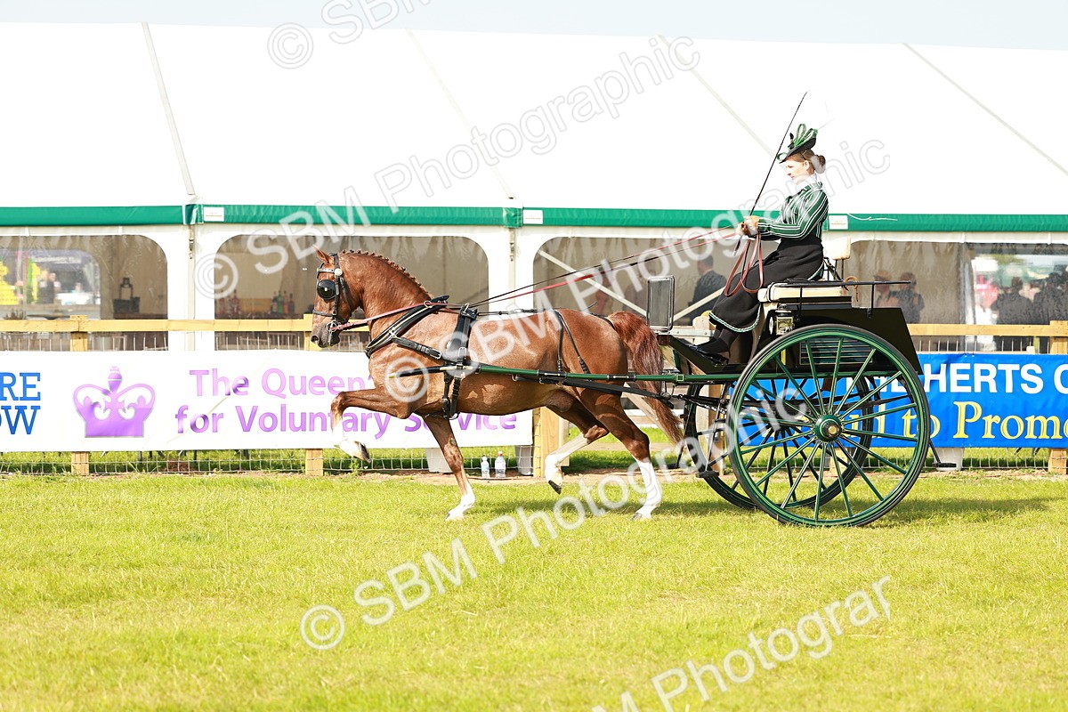SBM_01186 - Class 2-4 - HOYS Private Driving