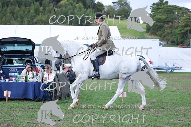 APP_4147 - Class 15a/b Pony club pony/Riding club horse