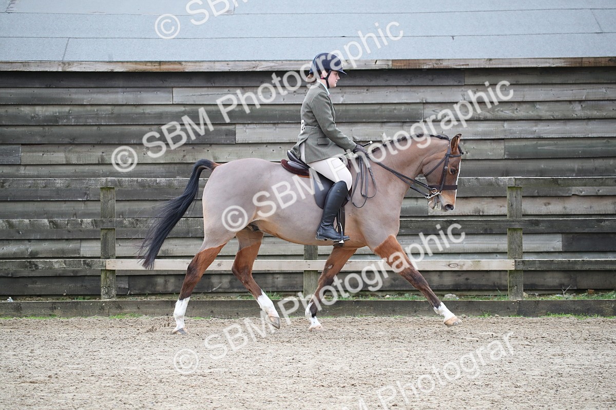 SBM_004648 - Class 5-9 - NPS In Hand-Show Hunter-Intermediate Ridden Inc Ridden Championship