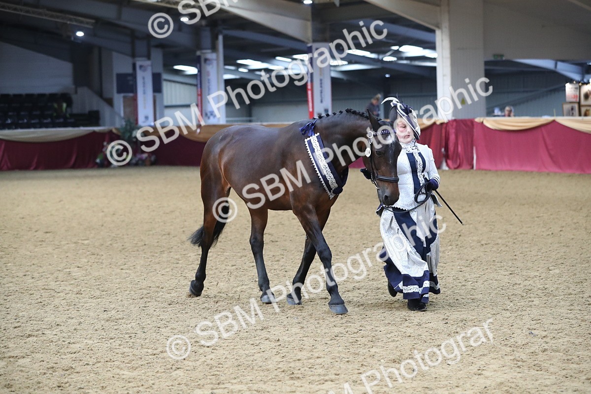 SBM_10790 - Class 103 IH Costume