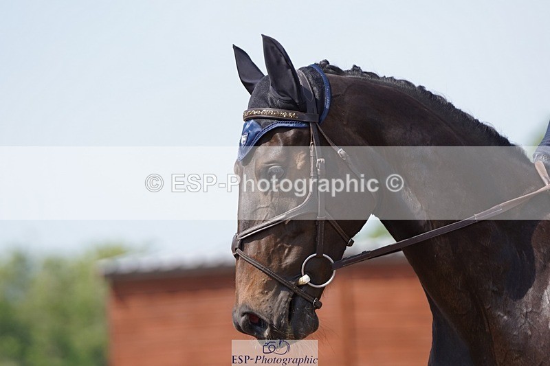 250621-155016-09602 - RoR Cls 4b-4c, Prelim