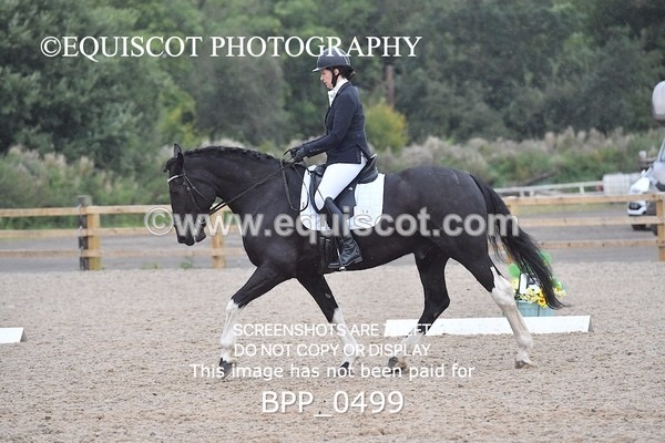 BPP_0499 - ELEM 6 & 4