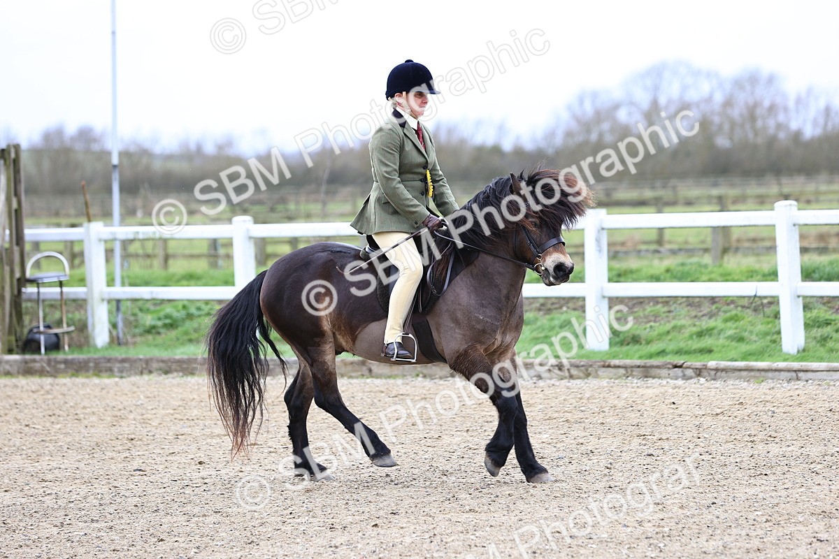 SBM_006876 - Class 29 - 30 - M&M Pure Novice Small-Large Breeds