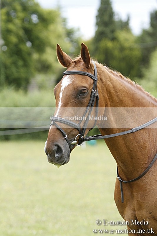 BVR160717-2253 - Ring 3 BVRC Show 16/07/17