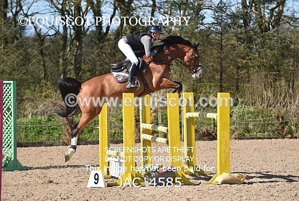 JAC_4585 - CLASS 11 SAT Andrew Hamilton Coach, RHS Foxhunter Championship Qualifier