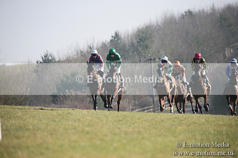 PtP 230219 323 - Vine & Craven Point-To-Point - Barbury 23/02/19